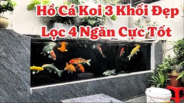 Hồ Cá Koi 4 Khối Đẹp Lọc 4 Ngăn Nước Siêu Trong - Cách Sắp Xếp Vật Liệu Lọc Hiệu Quả.Hồ A Tuân TB.