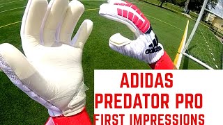 New Adidas Predator Pro Goalkeeper Gloves First Impression