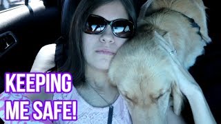 🐕 Service Dog Alerts To Fainting Spell on Road Trip! 😵🚘 (2/17/18)