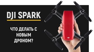 Что делать, если только что купил DJI Spark