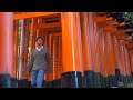 Fushimi Inari Shrine in Kyoto: All 10,000 Gates Explored 夜の京都伏見稲荷神社