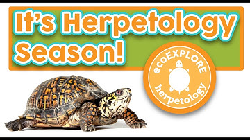 Virtual Herpetology Badge Library Program