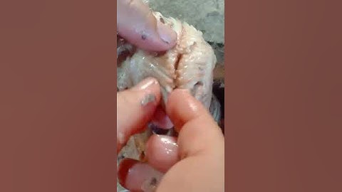 #shorts cách gỡ xương cá rô đồng để nấu canh nhanh dễ làm