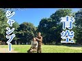 【水無し】シャンプー出来ない時には手袋シャンプー！！