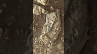 Potential Fossils Found On Mars?