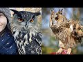 OWL BIRDS🦉- Funny Owls And Cute Owls Videos Compilation (2021) #015 - CLONDHO TV