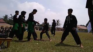 Download Lagu Ganasnya tes kenaikan sabuk hijau pagar Nusa PAC anak tuha Lampung tengah.gabungan bekri dan tanjung MP3