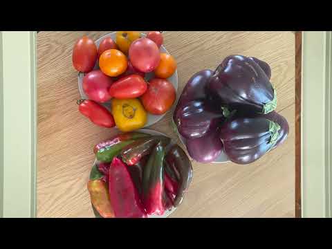 Господар. Збір урожаю