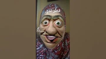 قطر الندي 