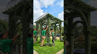 We Grew a Living Ivy Cathedral in a Front Garden — Then Night Fell 🌿⛪