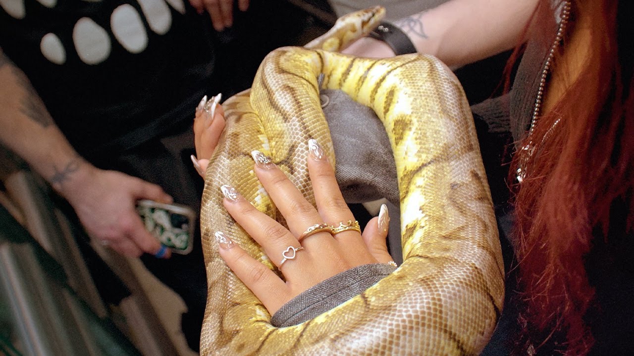 TAWPO - "ROGER RABBIT" (Official Music Video) (Dir. By @pierce.suarez)