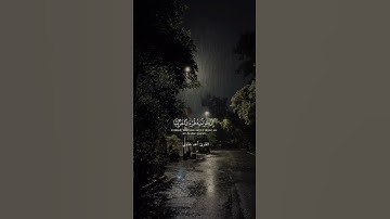 ما تيسر من سورة يوسف أحمد حمادي .