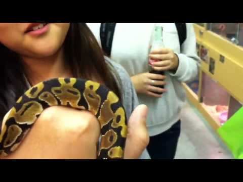 Holding a Snake