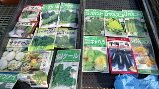 1月の種まき　家庭菜園から直売所までオススメ野菜　21/1/8