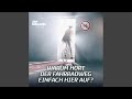 Warum hört der Fahrradweg einfach hier auf?