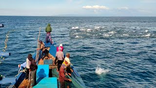 Pukat cincin, Nelayan Indonesia Dapat Banyak Ikan, luar biasa hasil tangkapan nelayan Indonesia