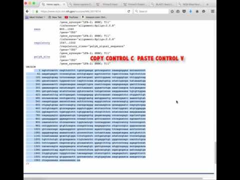 Video: Accuratezza Diagnostica Del Test PCR Interno In Tempo Reale Per Mycobacterium Tuberculosis: Una Revisione Sistematica E Una Meta-analisi