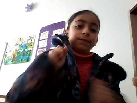 რა  მომიტანა  თოვლის  ბაბუამ