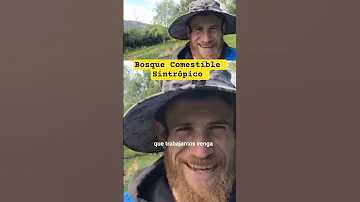 Plantación De Las Aromáticas En El Bosque Comestible Sintrópico 