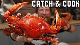 Catch and Cook Maryland Blue Crab from @fvsoutherngirl