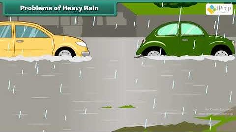 Class 3 EVS Chapter - 9 "It