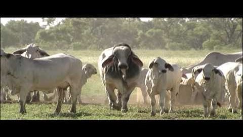 Recombinant DNA Technology | Genetics | Biology