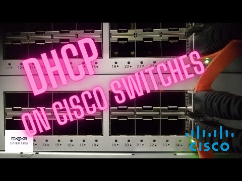 DHCP on Cisco Switches | Step-by-Step Guide