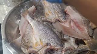 Seasoning & Frying Fish Again Croaker