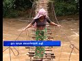 Hang Brige danger