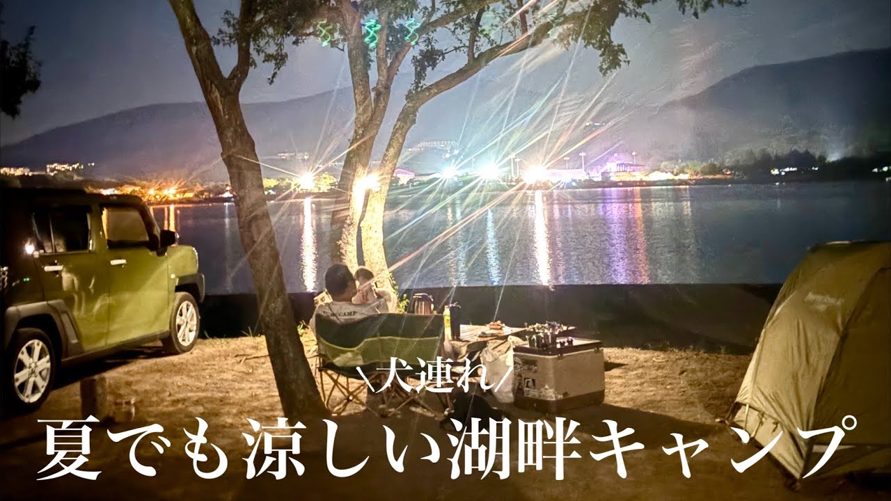 【キャンプ】夏でも涼しい！山中湖キャンプ #シーズー #キャンプ #ゆるキャン #山中湖 