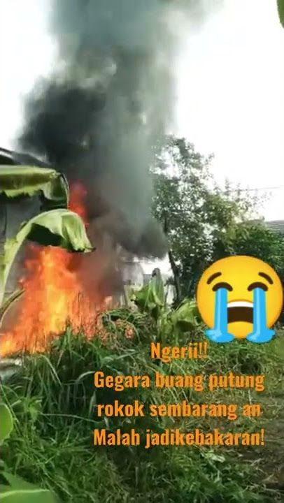BAHAYA PUTUNG ROKOK!!! #kebakaran #waspada #stopmerokok #merokok #nyaris #terbakar #sampah #shorts