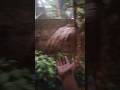 പുതുമഴ🌧️🌦️|#trending #viral #shortvideo # |#itzzmariyam