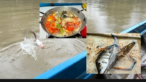 Xuống bến phà câu cá cá tôm đang ăn mạnh gặp mưa to quá về làm bữa cơm sáng 