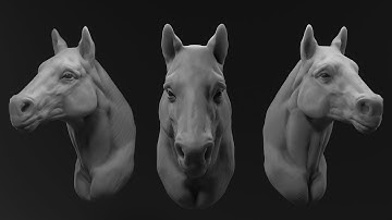 Eyes of Lamia - Horse Head Study