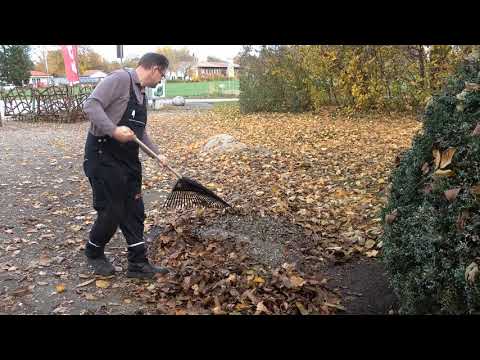 Video: Rake: Was Ist Das Und Wozu Dient Es? Gartenrechen Zum Reinigen Von Laub, Kreuz- Und Kunststoffrechen, Bewertungen