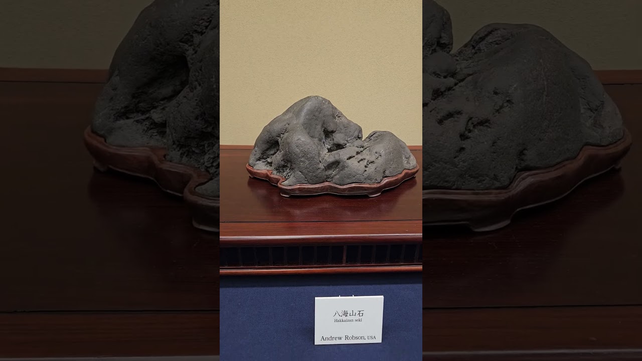 63eme expo de suiseki du Japon