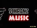 i kissed a girl schranz remix