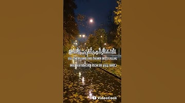 ذهب الحزن.. وبقي الحمد لله! 🌿 | سورة فاطر