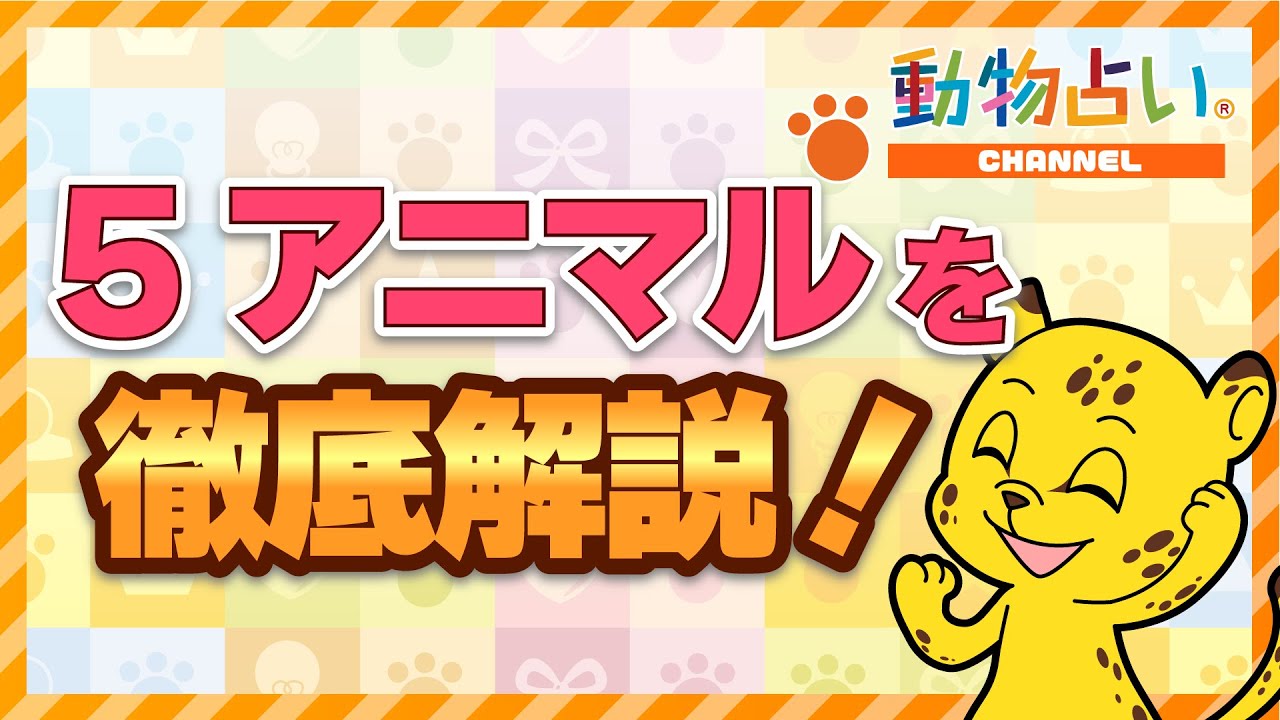 【動物占い公式】5アニマルを徹底解説！