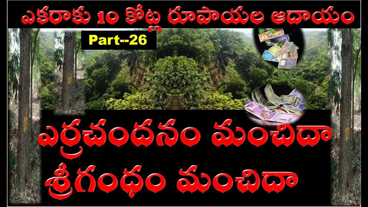 Part--26 ఎర్రచందనం మంచిదా..? శ్రీగంధం మంచిదా..?  Sudhakar Reddy, M.Sc,.