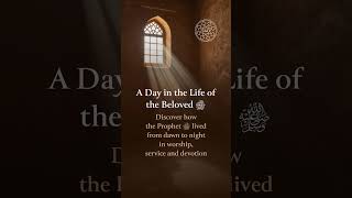 A day in the life of the Beloved ﷺ