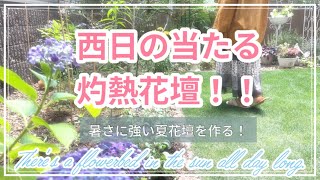 ガーデニング 西日の当たる花壇作り 暑さに強い花 小さなお庭の夏のお花 6月のガーデニング ガーデニングvlog 暮らしのvlog ハナノカオリ マンション専用庭 Hananokaori Youtube