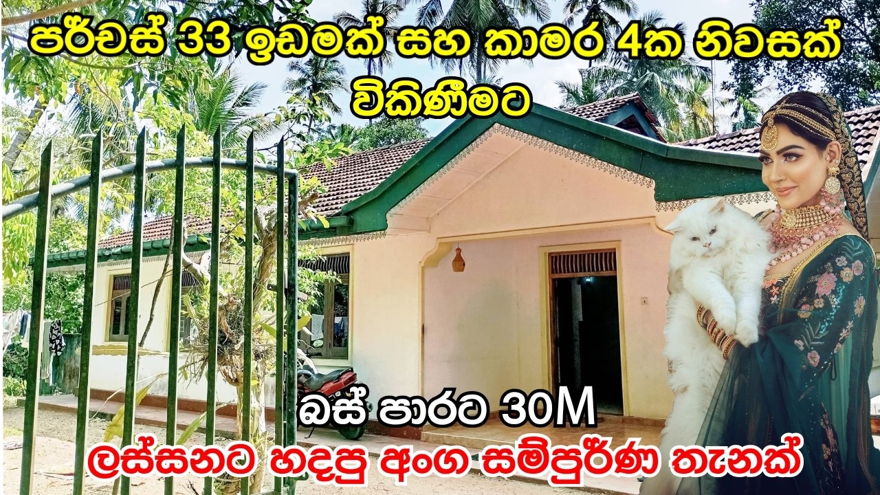 පර්චස් 33ක ඉඩමක් සහ අංග සම්පූර්ණ නිවසක් විකිණීමට | බස් පාරට මීටර් 30යි #acland @forsalehouse98