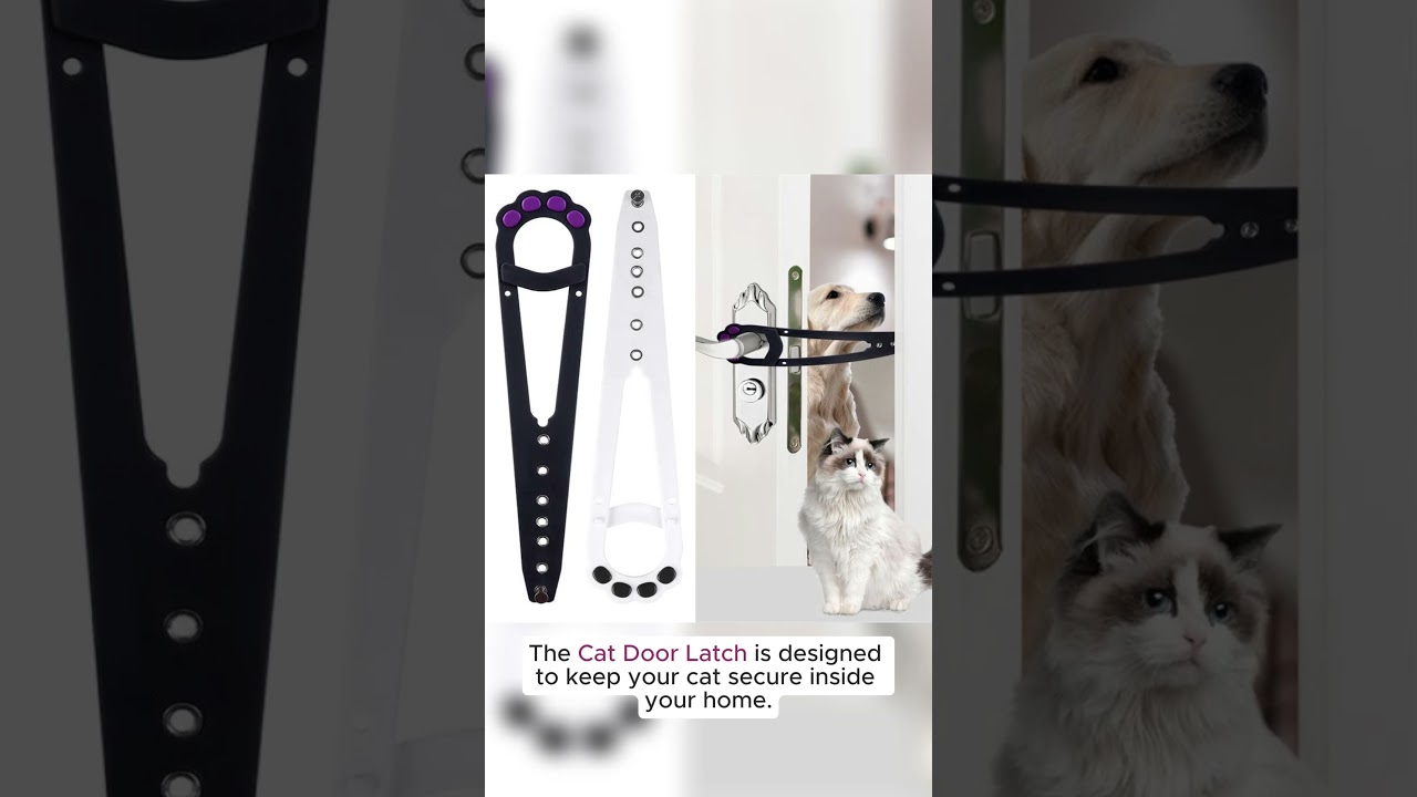 Pet Cat Door Holder Latch Prevents Dogs From Entering Cat Supplies Adjustable Elastic Gate Lock Keep
