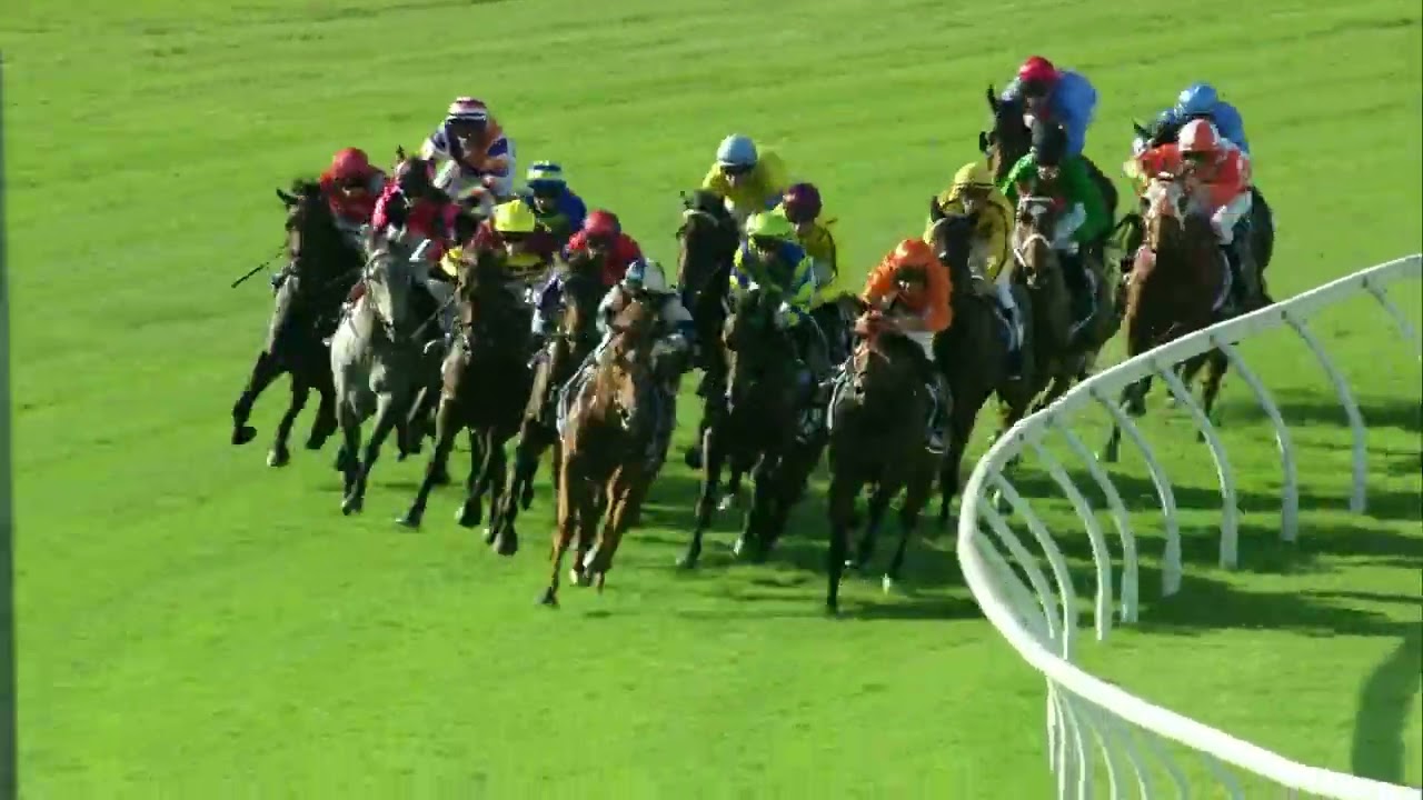 Northerly Stakes 2024 - LIGHT INFANTRY MAN (3YO+ WFA G1) Group 1 Ascot 7 December