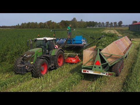 Video Fendt 942 Vario met dubbele maaibek in de vezelhennep - youtube