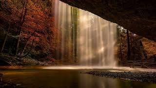 CALM - Soaking worship instrumental | Prayer and Devotional