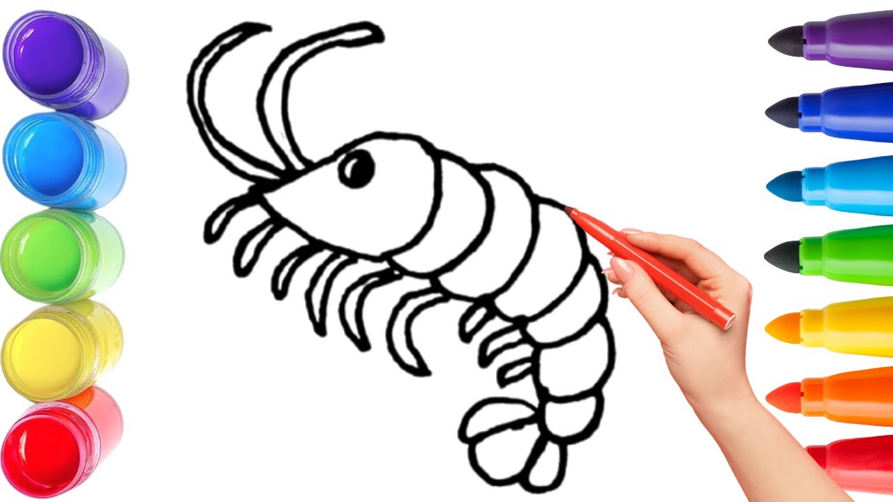 How To Draw cute  Shrimp Fish Drawing, Painting & Coloring For Kids and Toddlers_🌈🎨