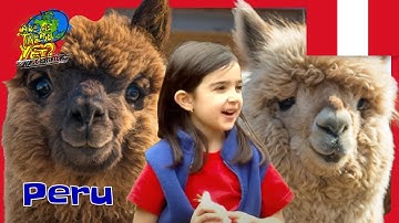 🦙 Meeting Llamas & Alpacas in Peru 🇵🇪 | Traveling with Kids | @travelkidsTVSHow