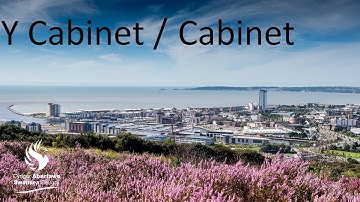 Swansea Council - Cabinet   16 June 2022